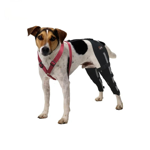 Lispoo Dog Knee Brace Double Leg For Luxating Patella