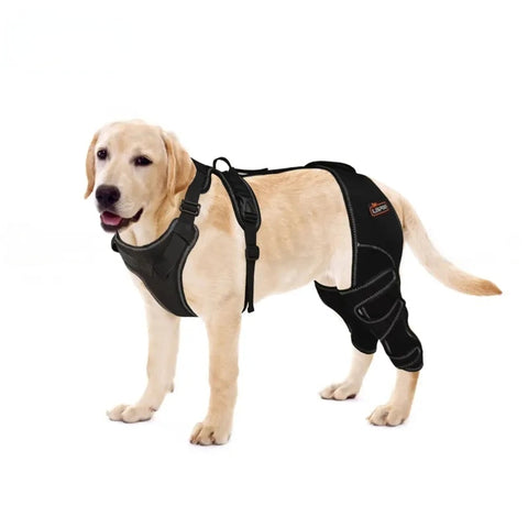 Lightweight Dog Knee Brace - No Support Bars for Mild Joint Support & Daily Prevention