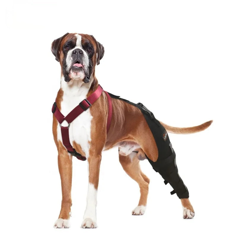 Dog knee shops brace for luxating patella