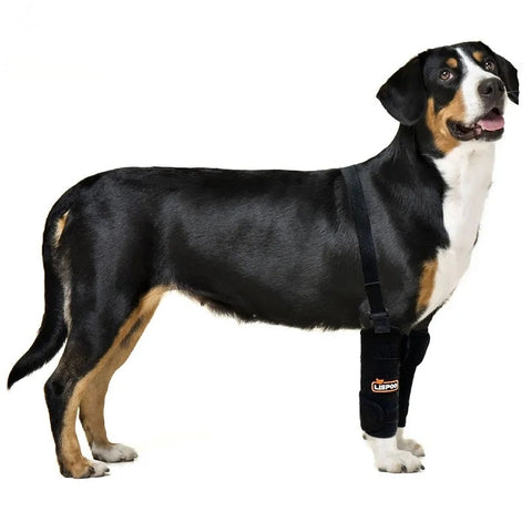 Lispoo Dog Wrist Brace for Sports Protection