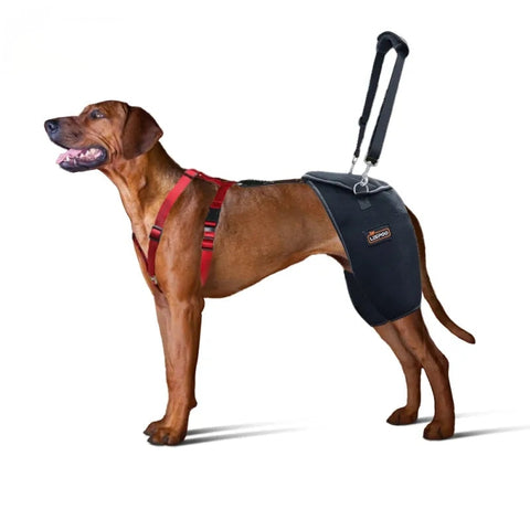 Lispoo Hip Support Brace For Dogs With Handle