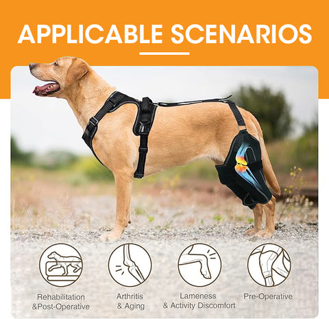 Lispoo Dog Knee Brace with Metal Splint Hinge Support For Double Leg