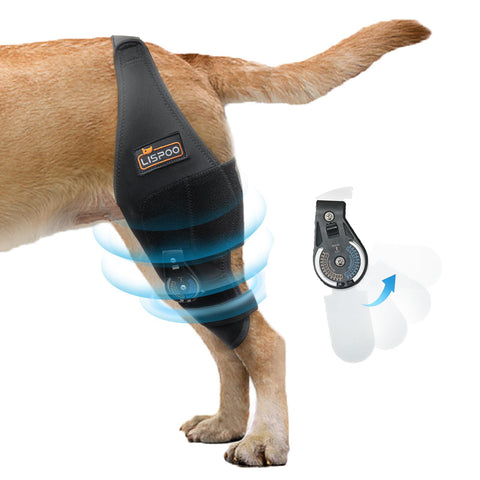 Adjustable Dog Knee Brace with Dial Lock - Heavy-Duty Support for Severe Joint Injuries