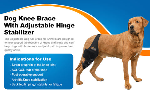 Adjustable Dog Knee Brace with Dial Lock - Heavy-Duty Support for Severe Joint Injuries