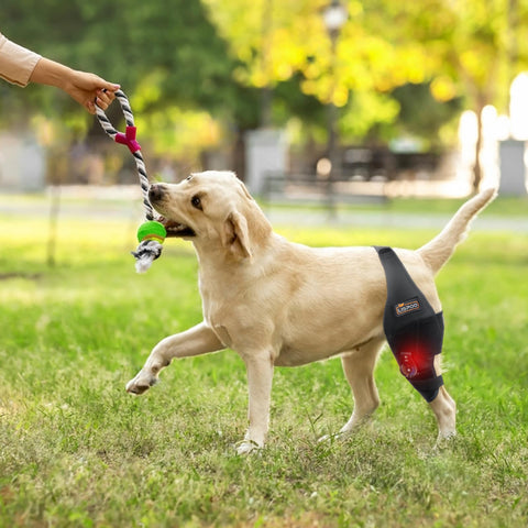 Adjustable Dog Knee Brace with Dial Lock - Heavy-Duty Support for Severe Joint Injuries