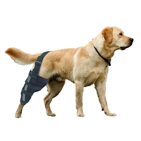 Lispoo Dog Brace Support For Single Hind Leg with Reflective Strips