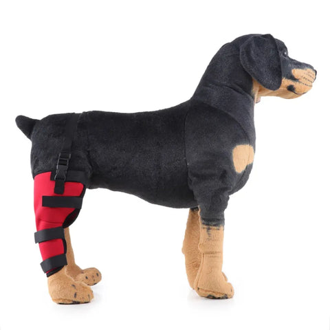 Lipoo Dog Knee Braces For Single Back Leg