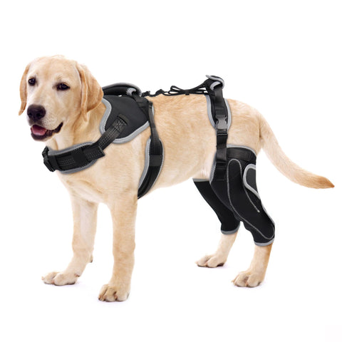 Lispoo Adjustable Knee Brace for Dogs Back Leg With Metal Splint