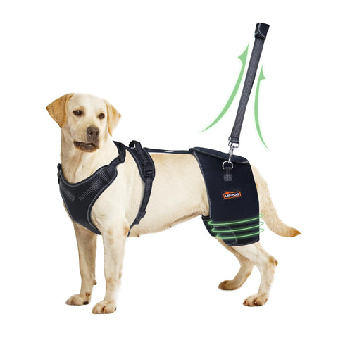 Lispoo Dog Hip Dysplasia Brace with Handle