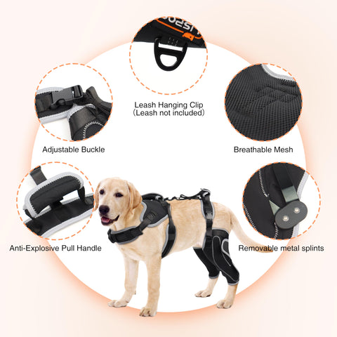 Lispoo Adjustable Knee Brace for Dogs Back Leg With Metal Splint