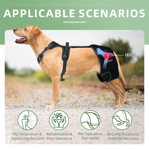 Lispoo Dog Hip Dysplasia Brace with Handle