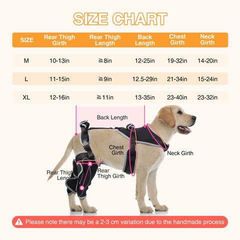 Lispoo Adjustable Knee Brace for Dogs Back Leg With Metal Splint